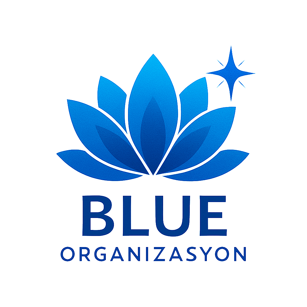 blueorganizasyon.com
